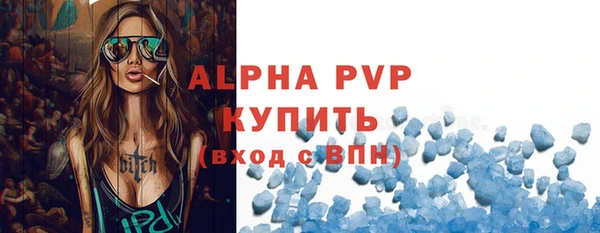 твердый Бородино