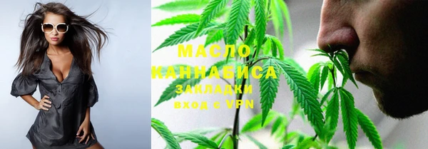 твердый Бородино