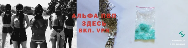 твердый Бородино