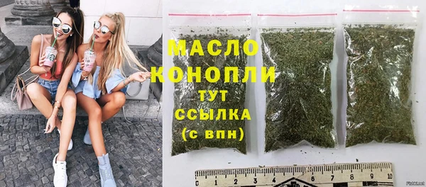 твердый Бородино
