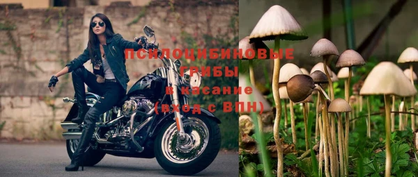 твердый Бородино